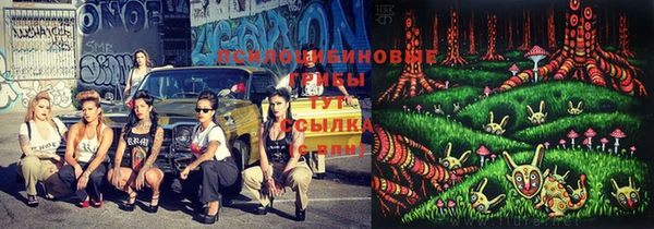 тгк Арсеньев
