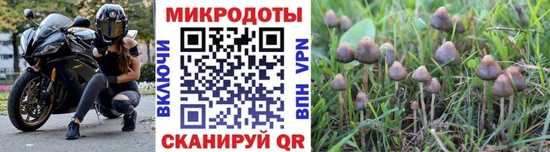 Псилоцибиновые грибы Magic Shrooms  Волхов 